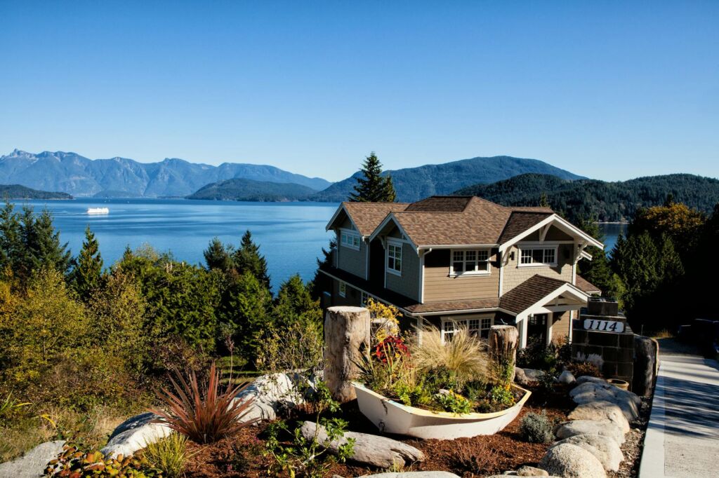 Intro Tree Removal in West Vancouver