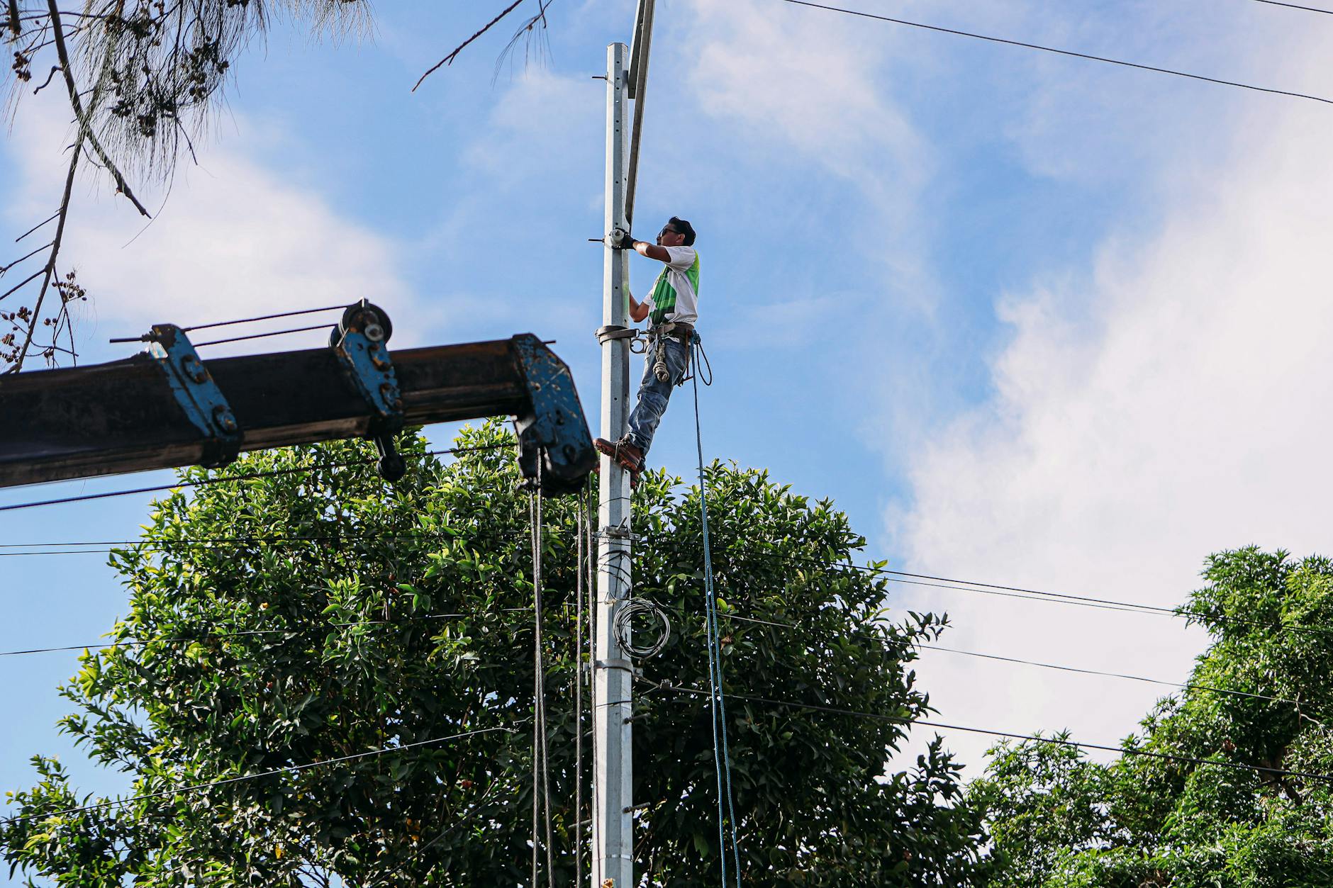 A Van City Tree Removal technician in full PPE using a chainsaw to carefully prune a hazardous limb over a residential roof in Delta.