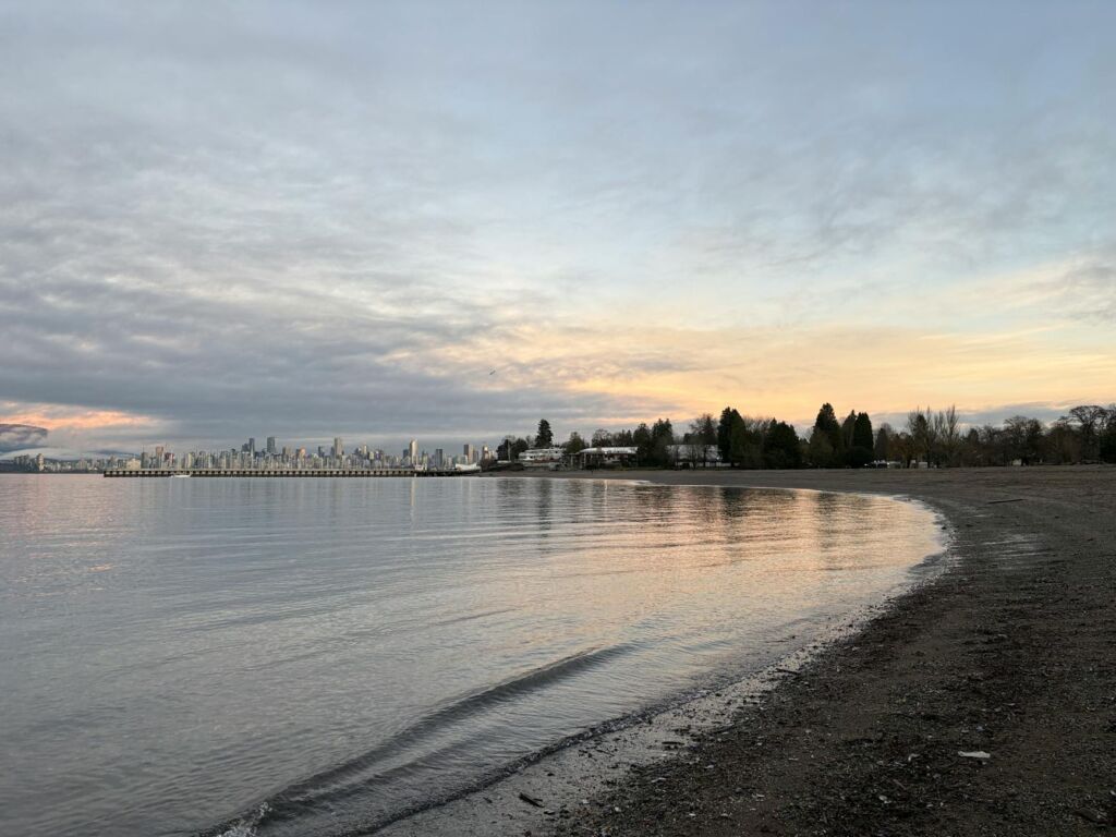 Intro Tree Removal in North Vancouver